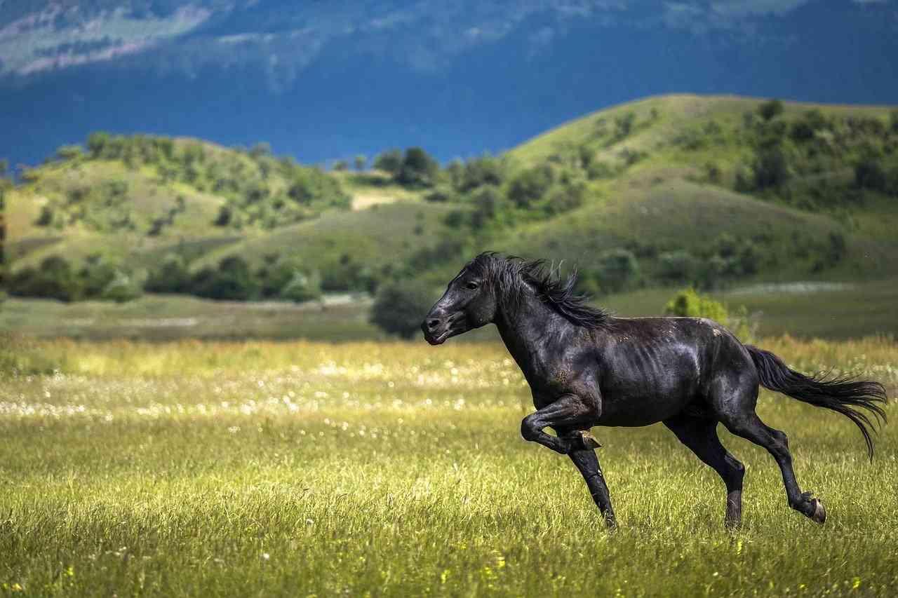 Συγκρότηση της Ελληνικής Λαογραφίας ως "Εθνική Επιστήμη" του 19ου αιώνα